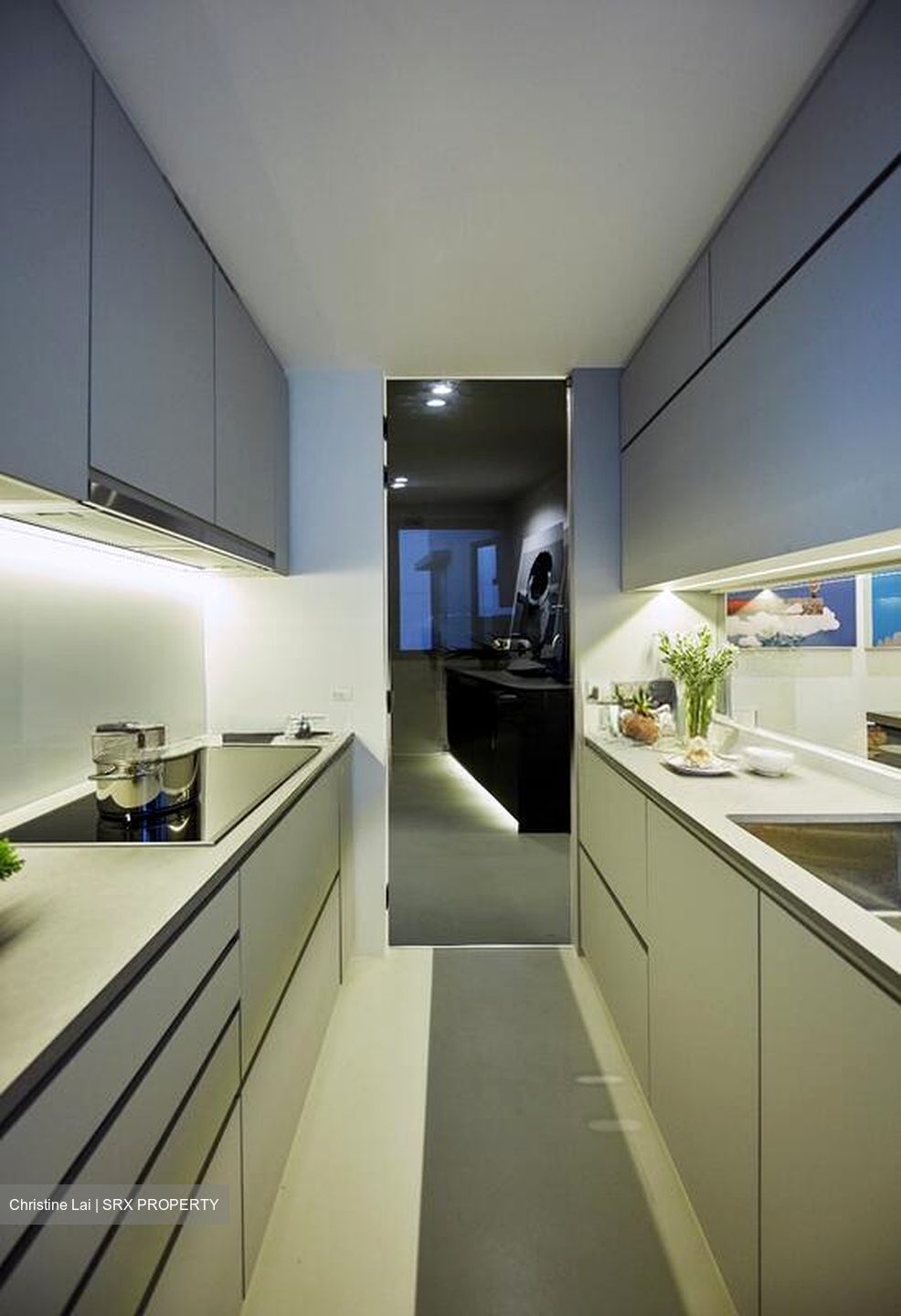 Kingsford Waterbay (D19), Apartment #497837661